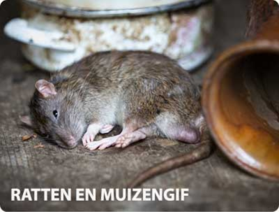 Muizengif - Rattengif voor snelle bestrijding